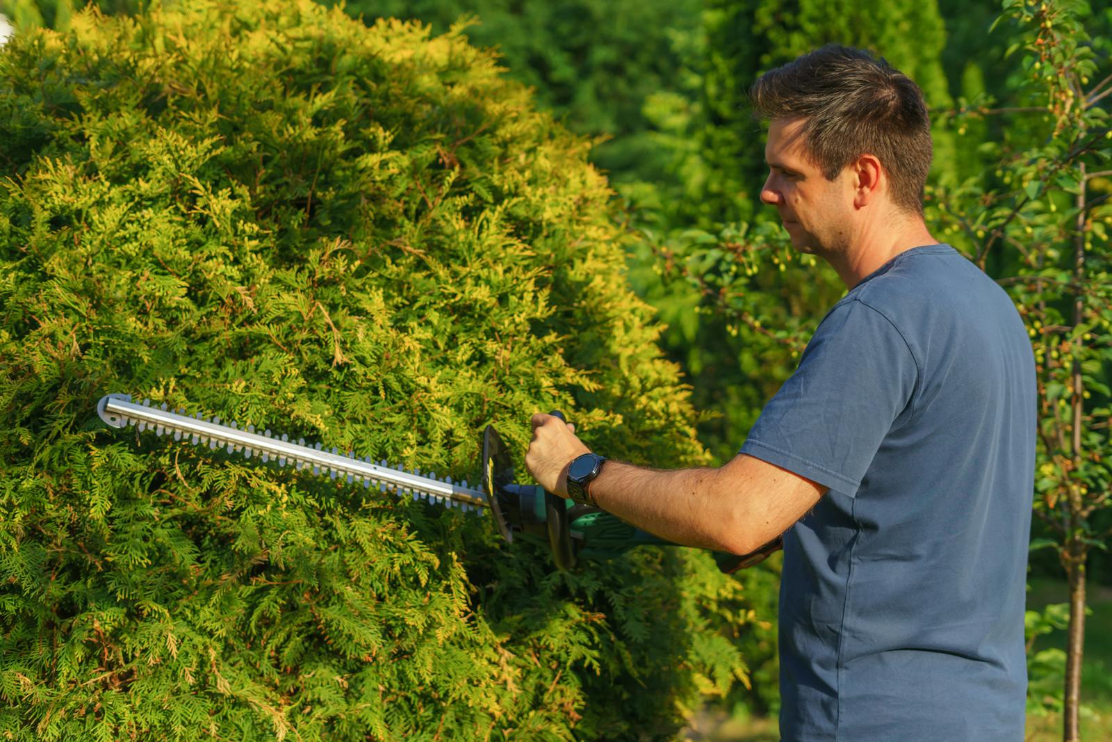 A man uses an electric trimmer to shape a garden hedge, showcasing precise landscaping skills.